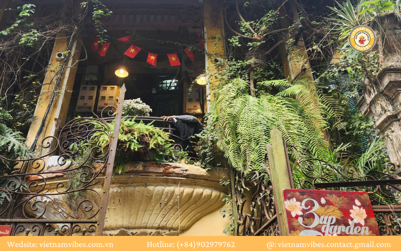 Hanoi food tour with Vietnam Vibes